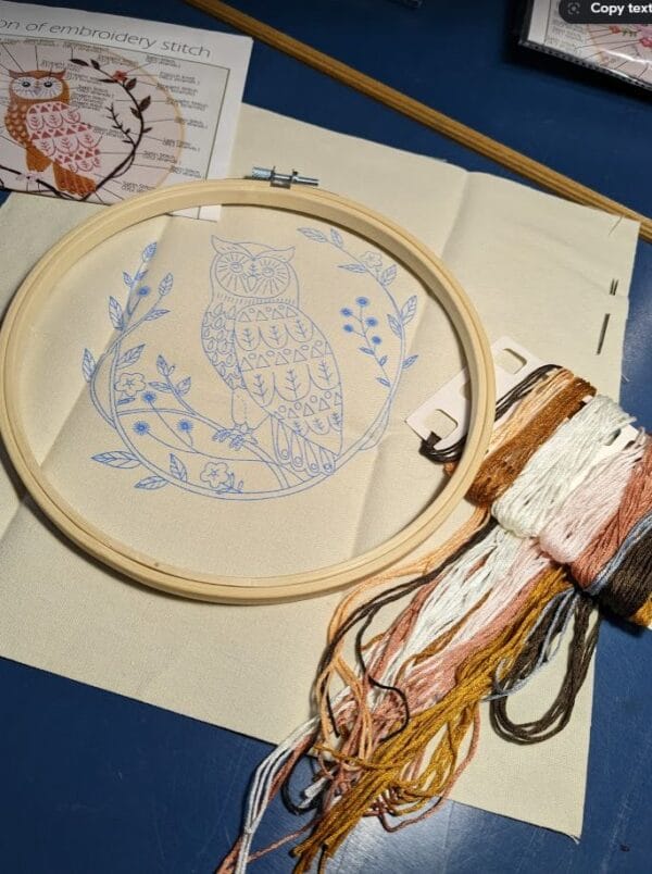 Embroidery Kit (Animal - owl)