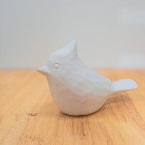 Crested Whittle Bird